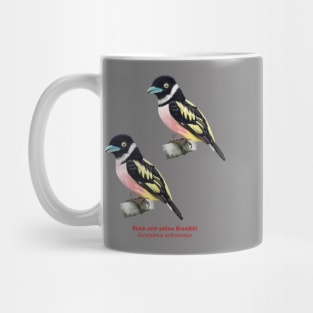 Black-and-yellow Broadbill | Eurylaimus ochromalus ⚥ Mug